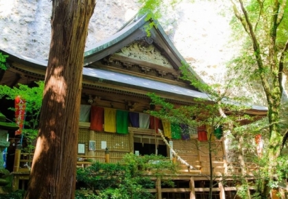 The New York Times giới thiệu trải nghiệm lịch sử và văn hóa tại tỉnh Oita, Nhật Bản