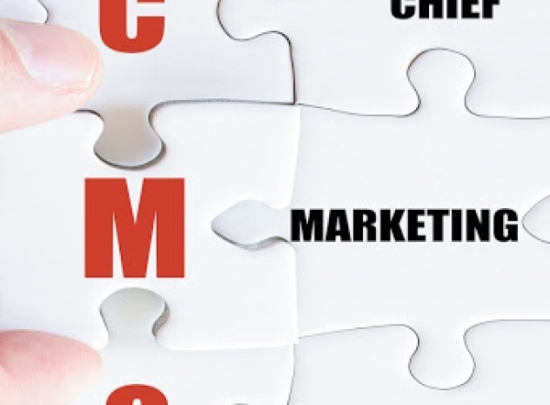 Giám đốc Marketing Chuyên Nghiệp 